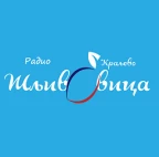 logo Радио Сливовица
